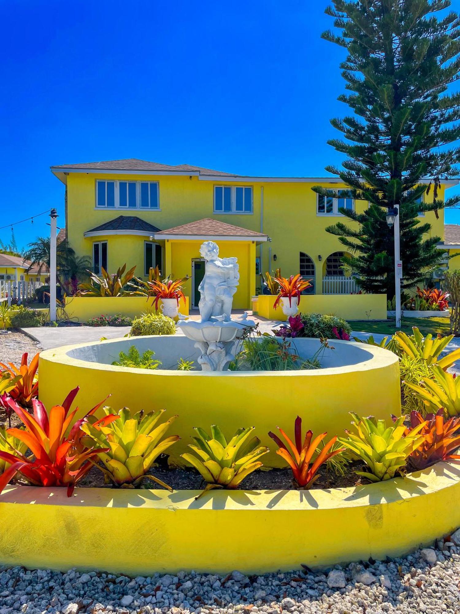 Bed and Breakfast Golden Palms House Нассау Экстерьер фото